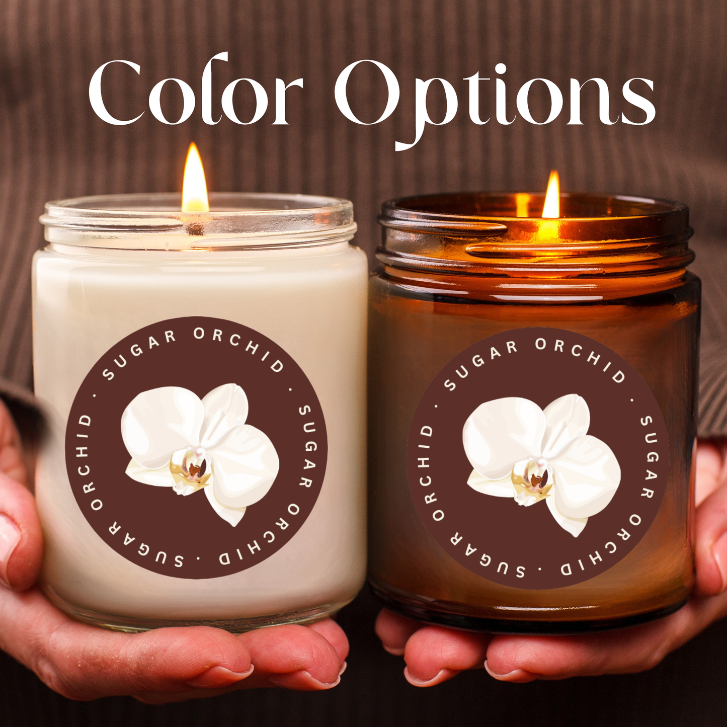 You Are Not Behind, You're Blessed