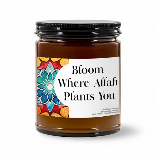 Bloom Where Allah Plants You