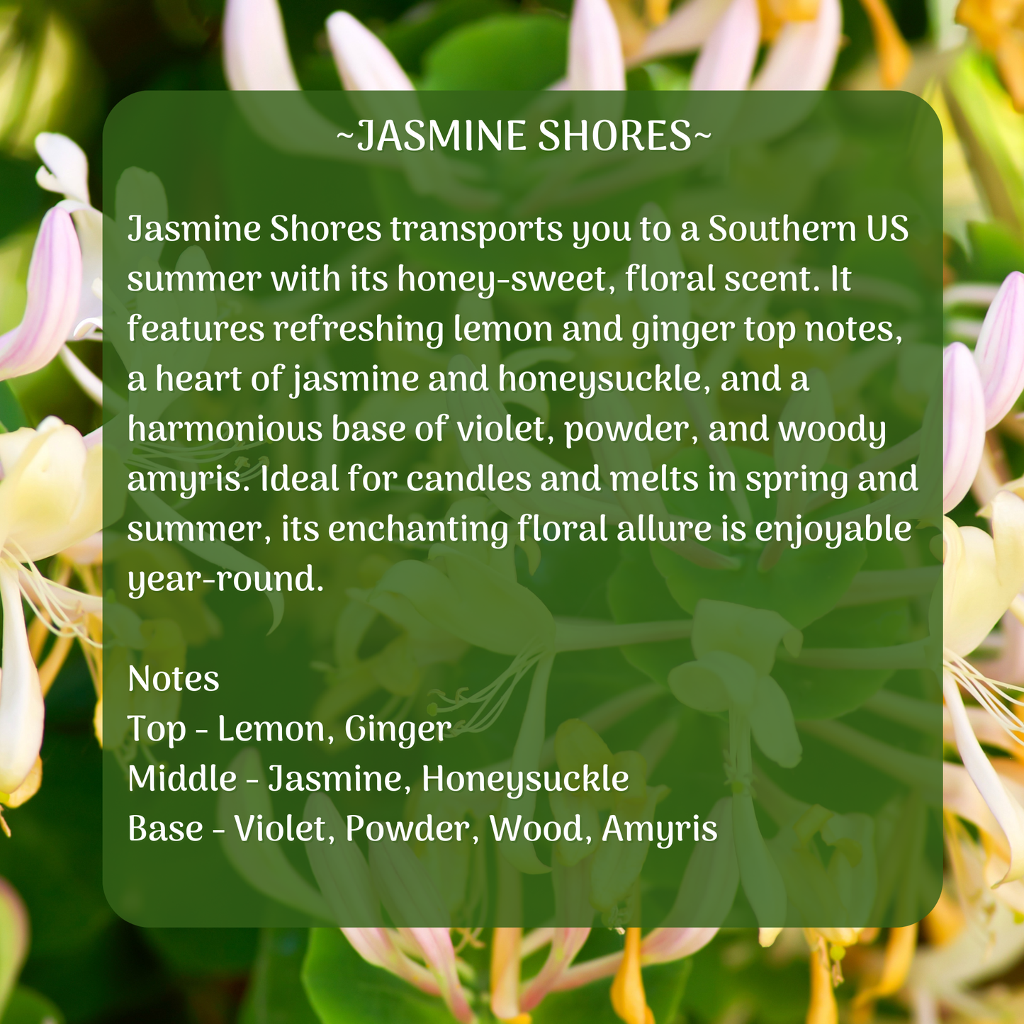 Sugar Orchid Body Oil